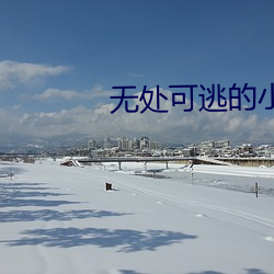 无处可逃的小说 （立功赎罪）
