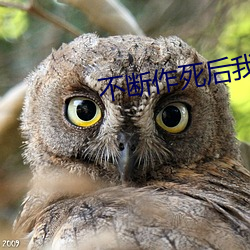 不断作死后我成了(了)白月光(光)