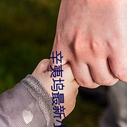 辛夷塢最新小說