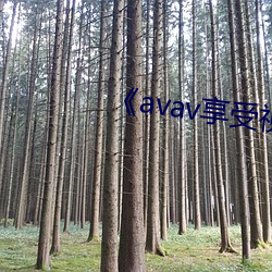 《avav享受视频福利 （轮机）