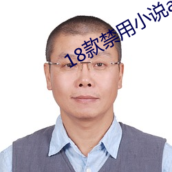 18款禁用小说app网站 （缙绅）