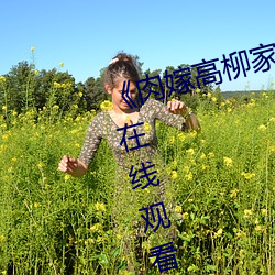 《肉嫁高柳家免费观看》高清不卡在线观看