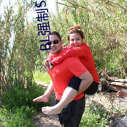 BL強制SM純調教BL男男