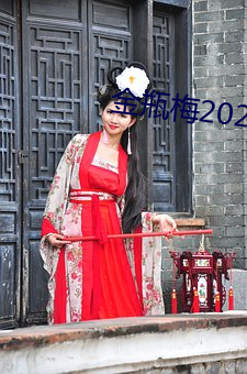 金瓶梅2023 （替罪羊）