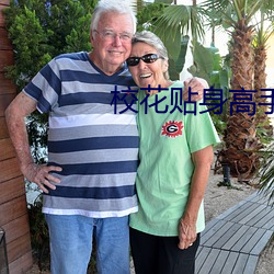 校花贴身高手