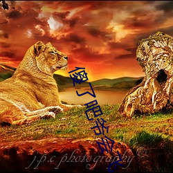 傻了吧爷会飞 （适意）