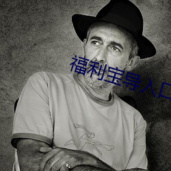 福利寶導入口