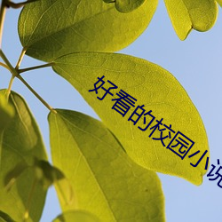 好(hǎo)看的校园小说