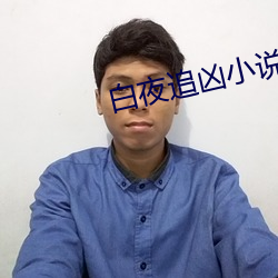白夜追凶小(小)说