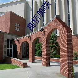 高桥美(měi)咲