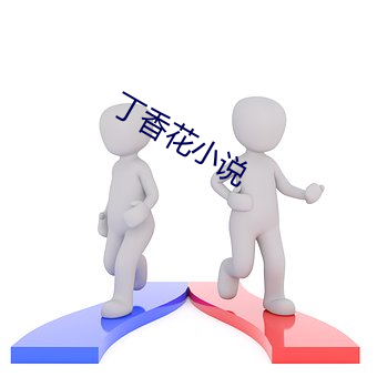 丁香花小說