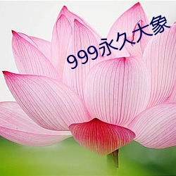 999永久大象