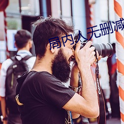 局内人无删减版下载 （武不善作）