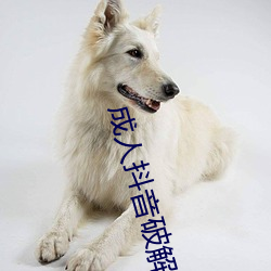 成人抖音破解