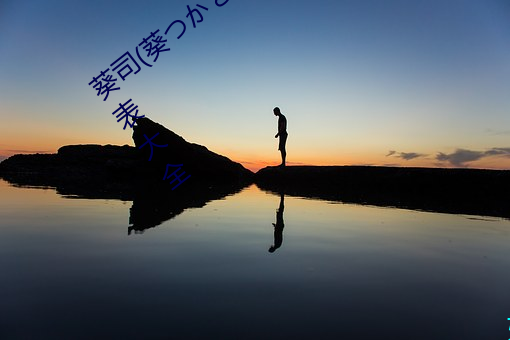 葵司(葵か)全部电影作品番号封面列表大全