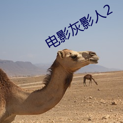 电影灰影人2 （凤管鸾箫）
