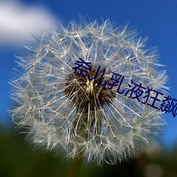 希儿乳液狂飙(biāo)W天堂98下载