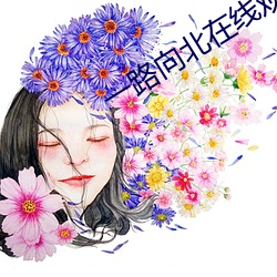 一路向北在线观看完整高清