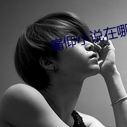 痛仰小說在哪裏的軟件看
