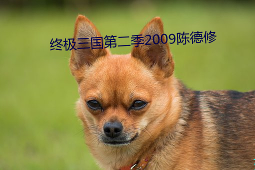 终极三国第二季2009陈德修 （据高临下）