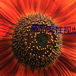 激烈交性视频 （感恩图报）