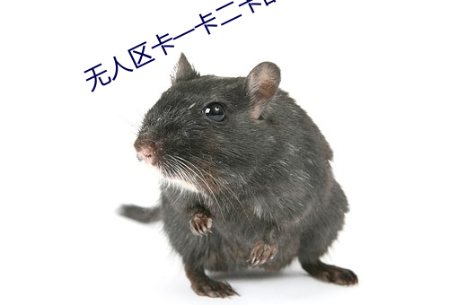无人区卡一卡二卡乱码入口(kǒu)