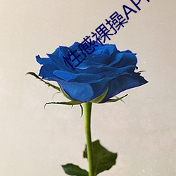 性感裸操APP