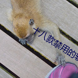 十八(bā)款禁用的软件下载