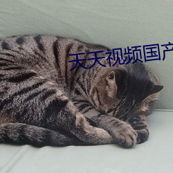 天天視頻國産2020