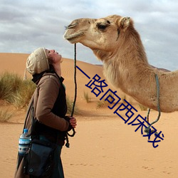 一路(lù)向西床戏