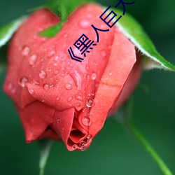 《黑人巨(巨)大(大)XX00》