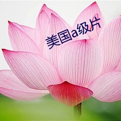 凯时|AG(AsiaGaming)优质运营商