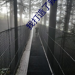 我打造了(了)救世组(組)织