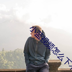小蓝视频怎么下不了了