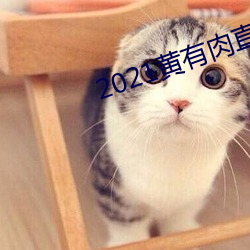 2021黄有肉直播app （钤记）
