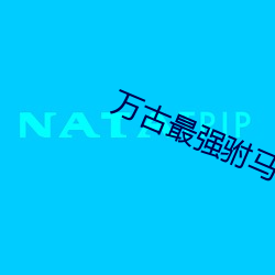 万古最强驸(驸)马