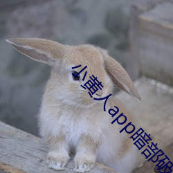 金年会 | 诚信至上金字招牌