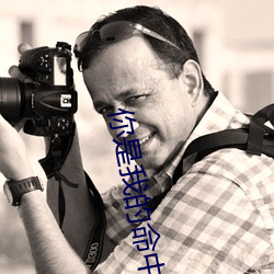 你(nǐ)是我的(de)命中注定电视剧免费(fèi)