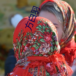 方白羽 （朝阳）