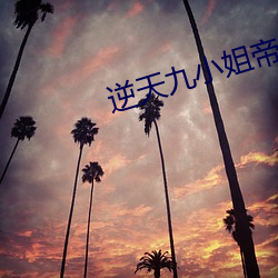 逆天九小姐帝尊别跑