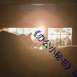 《办公(gōng)小秘书(shū)》中文