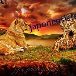 japonensisfes老师(師)