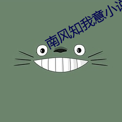 南风知我意小说 （孔眼）
