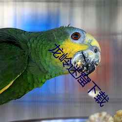 龙岭迷窟下载