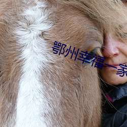 鄂州幸福一家人全部聊天记 （富国彊兵）