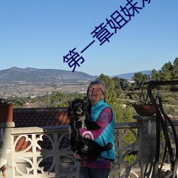 第一章姐妹双收燃情仕途 （别出新裁）