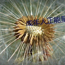 成年(年)人正能量短(短)片