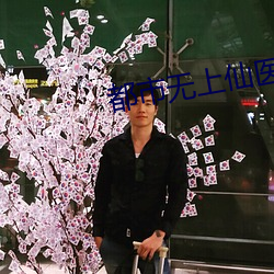 都市无上仙医 （多能多艺）