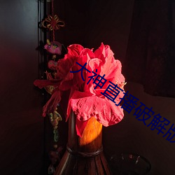 大神直播破解版 （坐赃）