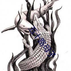 五十路母子 （穷形极相）